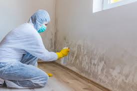 Why You Should Choose Our Mold Remediation Services in (206) 803-13630